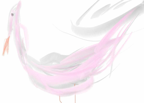 Fotografija 8 - Bartol Juraga ima tek sedam godina i uskoro otvara izložbu