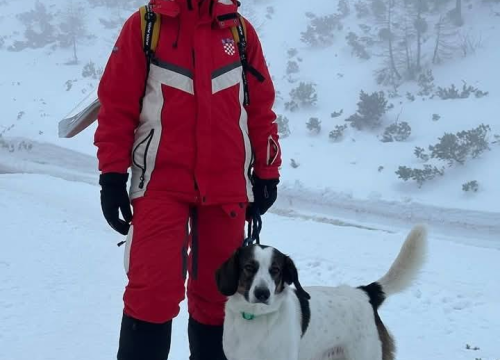 Fotografija 6 - Od odbačenog šteneta do potražnog psa