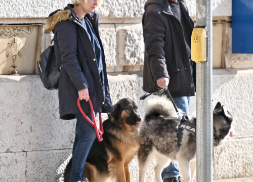 Fotografija 28 - Đir po gradu, nedjelja 2. veljače