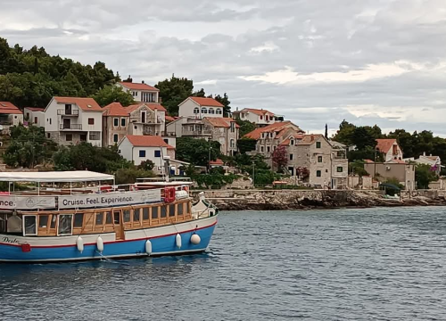 Fotografija 1 - Desto: životna priča starog vodičkog trabakula