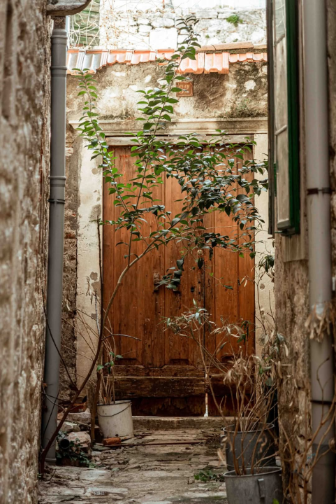 Gorica zimi: U starom šibenskom kvartu 'nema pasa', ali nađe se poneka mačka