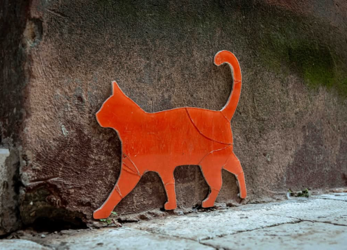 Fotografija 11 - Gorica zimi: U starom šibenskom kvartu 'nema pasa', ali nađe se poneka mačka