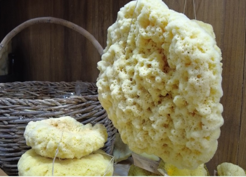 Fotografija 7 - Milena Tanfara, rođena Norvežanka, na Krapnju je pronašla ljubav i ondje uspješno razvija obiteljski posao