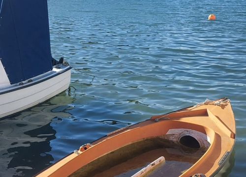 Fotografija 2 - Napuštene brodice i krivolov ugrožavaju zaštićeni Morinjski zaljev