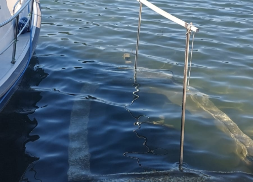 Fotografija 5 - Napuštene brodice i krivolov ugrožavaju zaštićeni Morinjski zaljev