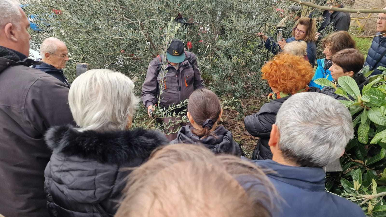 Rezidba masline prezentirana ispred Radio Ritma