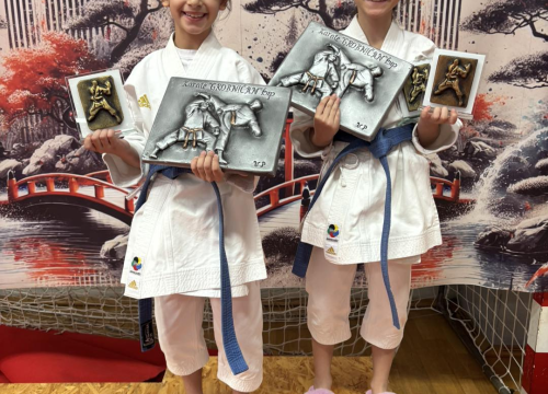 Fotografija 15 - FOTO: Karatašima vodičkog Okita 18 medalja i treće mjesto ekipno na Grobničan kupu