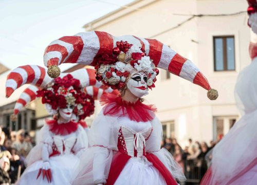 Fotografija 2 - Murterske bake