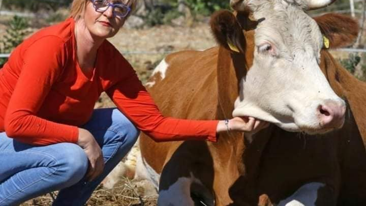 Ivana Šimac Mehić bila je 22 godine medicinska sestra, a sada je uspješna i sretna poduzetnica na svom OPG-u