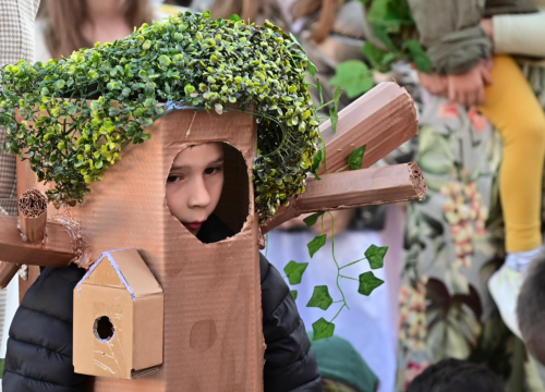 Fotografija 9 - Maškarana povorka prošla kroz grad (1)
