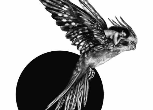 Fotografija 2 - Izložba 'Arijadnina nit' Jadranke Lacković otvara se u Šibeniku za Dan žena