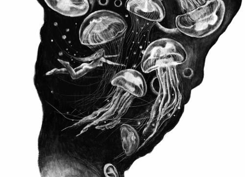 Fotografija 5 - Izložba 'Arijadnina nit' Jadranke Lacković otvara se u Šibeniku za Dan žena