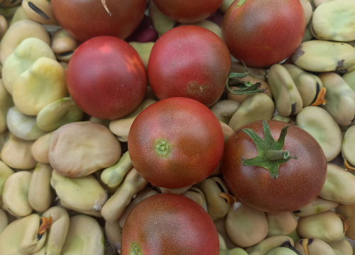 Fotografija 11 - Antonija je ekonomiju zamijenila prirodom