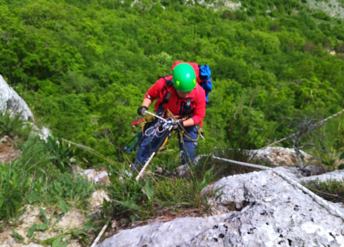 Fotografija 12 - Antonija je ekonomiju zamijenila prirodom