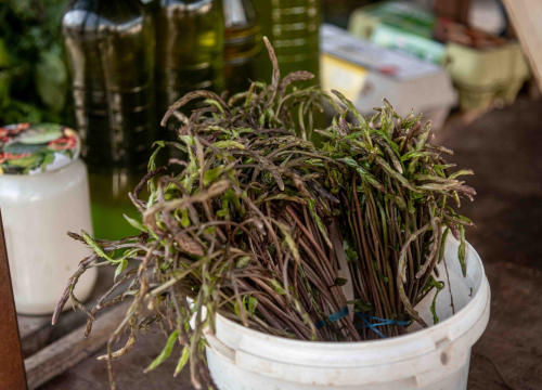 Fotografija 6 - Petak na šibenskoj pijaci