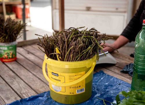 Fotografija 3 - Petak na šibenskoj pijaci