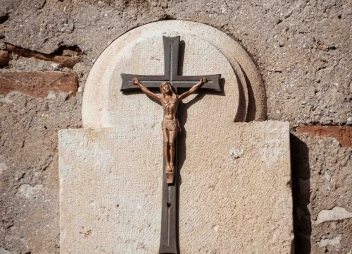 Fotografija 42 - Mandalina - pomorska oaza Šibenika