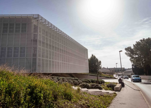 Fotografija 19 - Mandalina - pomorska oaza Šibenika