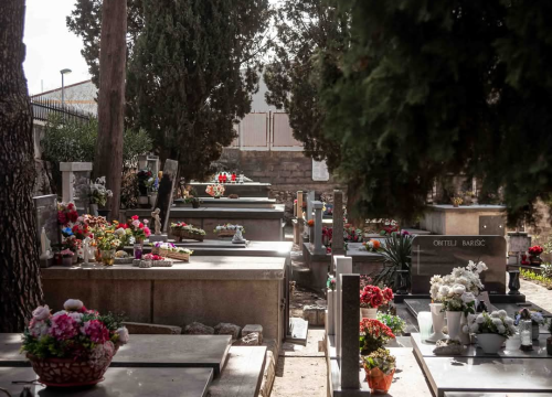 Fotografija 18 - Mandalina - pomorska oaza Šibenika