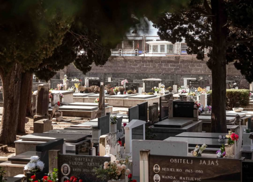 Fotografija 17 - Mandalina - pomorska oaza Šibenika