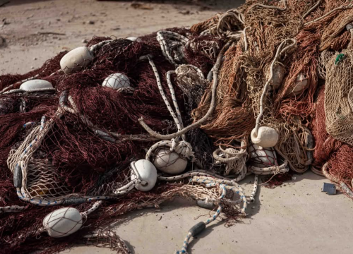 Fotografija 4 - Mandalina - pomorska oaza Šibenika