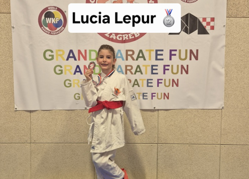 Fotografija 1 - FOTO: Karataši Phoenixa uzeli osam medalja na 'Grand Karate Funu'