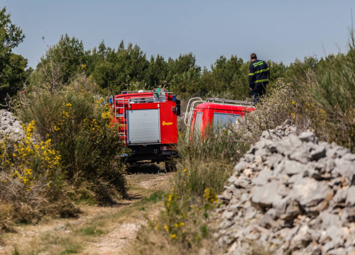 Vatrogasci sinoć ekspresno ugaslili požar otvorenog prostora u Danilo Birnju