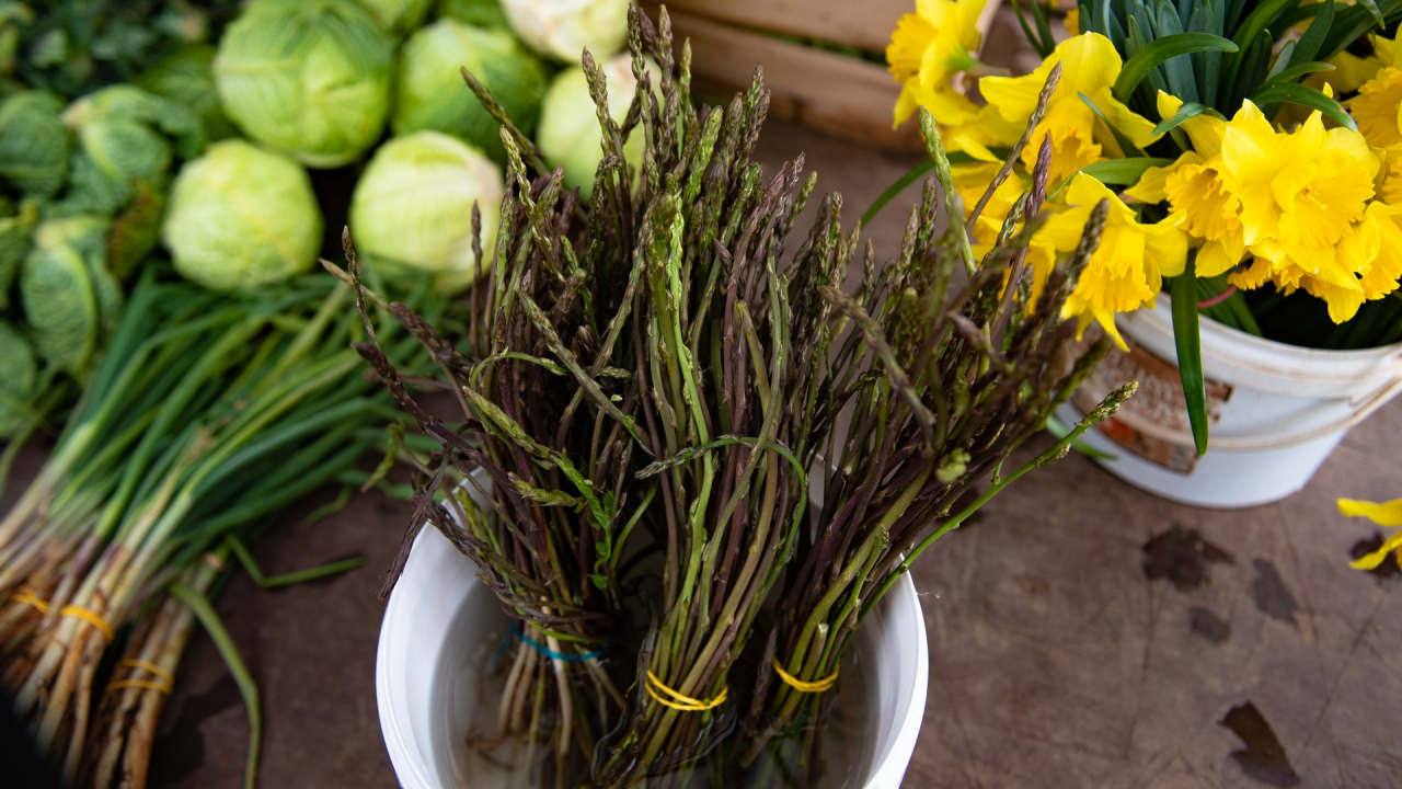 Sezona šparoga: Evo još jedne odlične ideje kako ih pripremiti za ručak