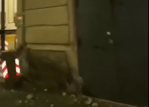 Potres u Napulju, ljudi proveli noć na ulicama