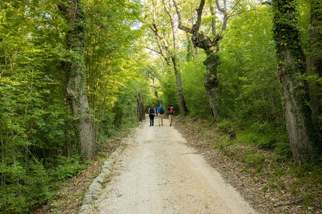 FOTO: Dočekajte proljeće u Nacionalnom parku „Krka“ po cijeni ulaznice od 7 eura