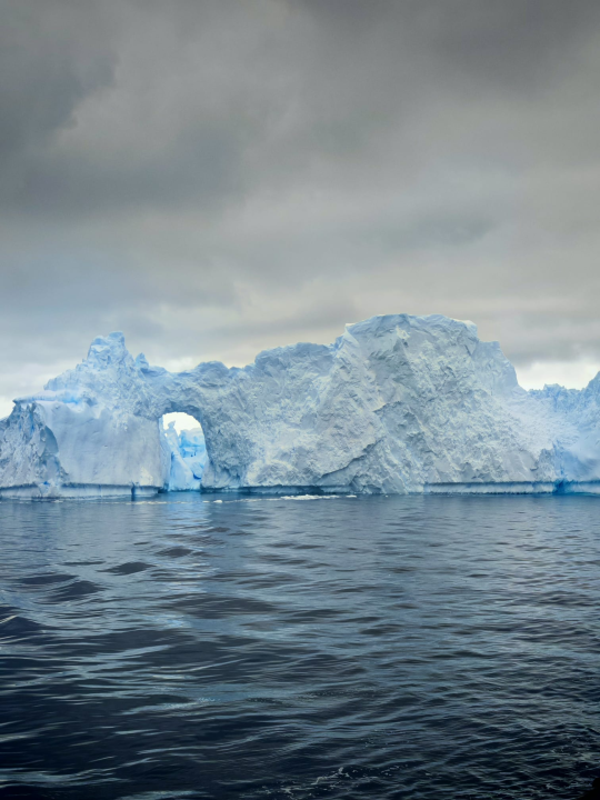 Veliki Gogo na sedmom kontinentu: 'Ako bi Antarktiku trebao opisati riječima, osjećao bi se da abnormalno umanjujem doživljaj'