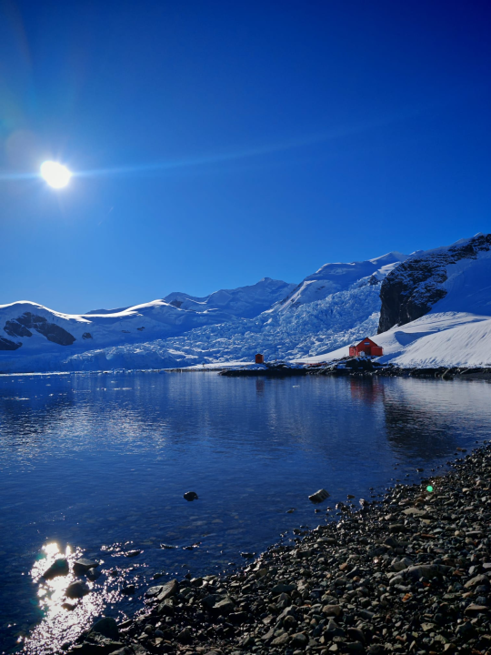Veliki Gogo na sedmom kontinentu: 'Ako bi Antarktiku trebao opisati riječima, osjećao bi se da abnormalno umanjujem doživljaj'