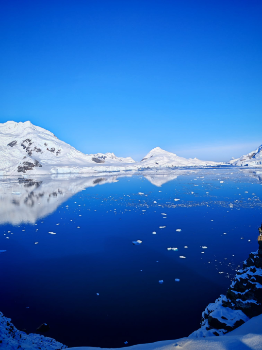 Veliki Gogo na sedmom kontinentu: 'Ako bi Antarktiku trebao opisati riječima, osjećao bi se da abnormalno umanjujem doživljaj'
