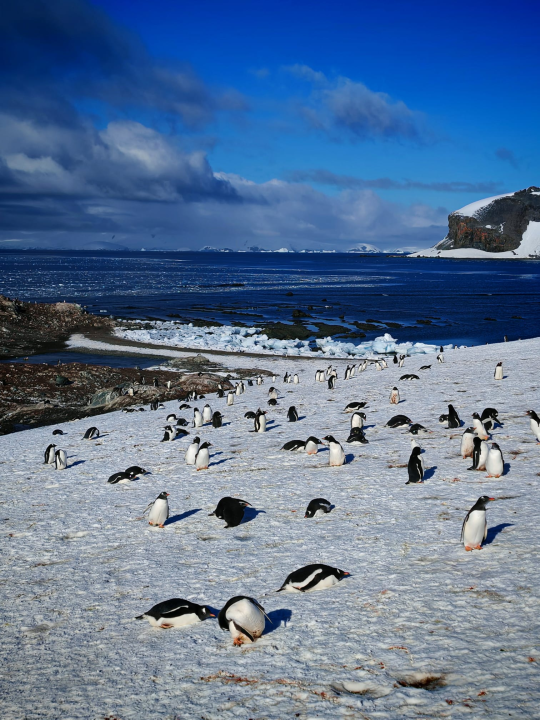 Veliki Gogo na sedmom kontinentu: 'Ako bi Antarktiku trebao opisati riječima, osjećao bi se da abnormalno umanjujem doživljaj'