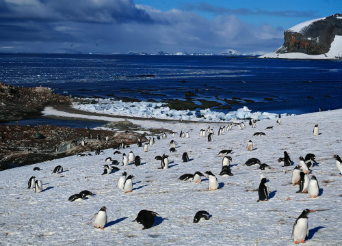 Fotografija 12 - Veliki Gogo na sedmom kontinentu: 'Ako bi Antarktiku trebao opisati riječima, osjećao bi se da abnormalno umanjujem doživljaj'