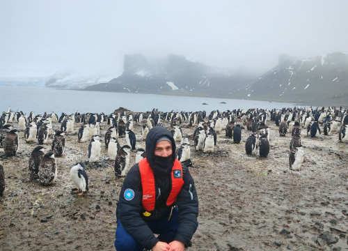 Fotografija 3 - Veliki Gogo na sedmom kontinentu: 'Ako bi Antarktiku trebao opisati riječima, osjećao bi se da abnormalno umanjujem doživljaj'