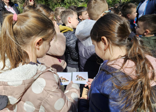 Fotografija 9 -  Šibenski prvašići na Skradinskom buku obilježili Svjetski dan šuma