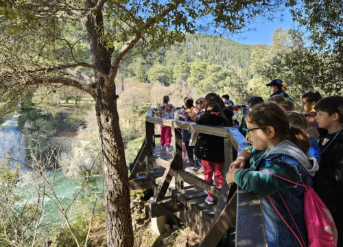 Fotografija 3 -  Šibenski prvašići na Skradinskom buku obilježili Svjetski dan šuma