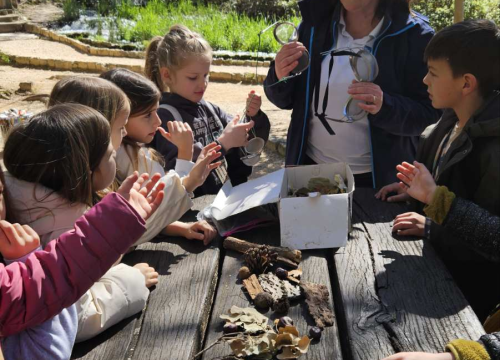 Fotografija 5 -  Šibenski prvašići na Skradinskom buku obilježili Svjetski dan šuma