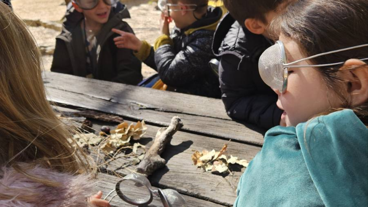 'Šuma i hrana': Šibenski prvašići na Skradinskom buku obilježili Svjetski dan šuma