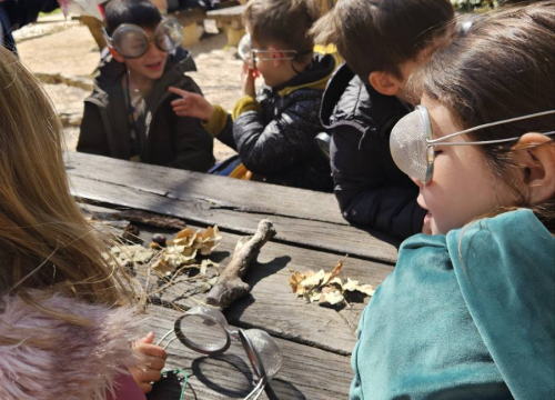 Fotografija 1 -  Šibenski prvašići na Skradinskom buku obilježili Svjetski dan šuma