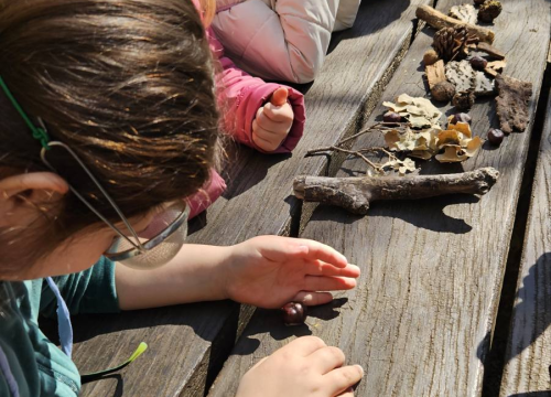 Fotografija 6 -  Šibenski prvašići na Skradinskom buku obilježili Svjetski dan šuma