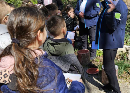 Fotografija 4 -  Šibenski prvašići na Skradinskom buku obilježili Svjetski dan šuma