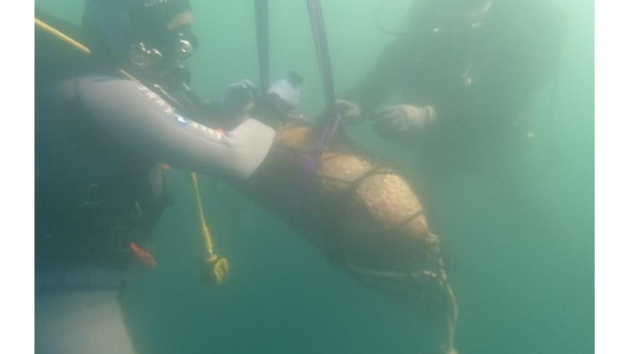 Kraj otoka Mažirina uspješno uništene dvije avionske bombe iz Drugog svjetskog rata