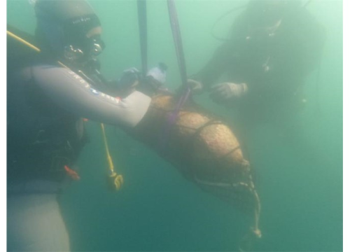 Fotografija 1 - Kraj otoka Mažirina uništene dvije avionske bombe iz Drugog svjetskog rata