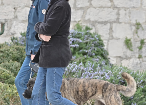 Fotografija 14 - Đir po gradu, nedjelja 23. ožujka