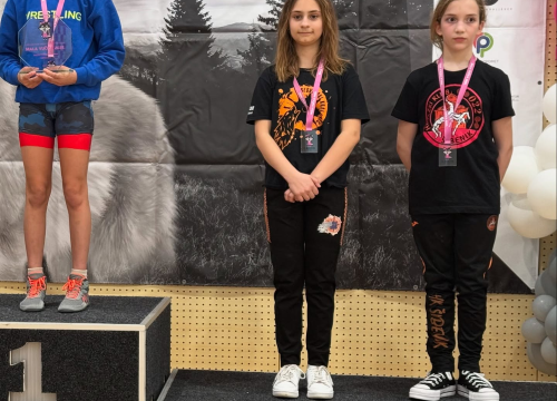 Fotografija 5 - FOTO: Hrvačicama Šibenika tri medalje na 'Maloj Vučici'