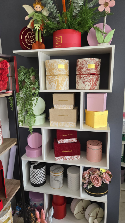 FOTO Safirni jubilej: Čempresi obilježavaju 65 godina postojanja