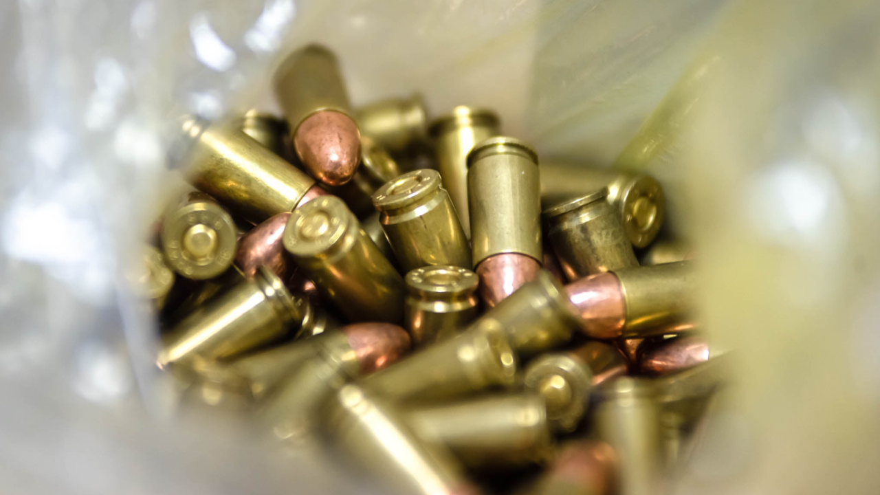 Protekli tjedan građani policiji dobrovoljno predali gomilu streljiva i jednu ručnu bombu