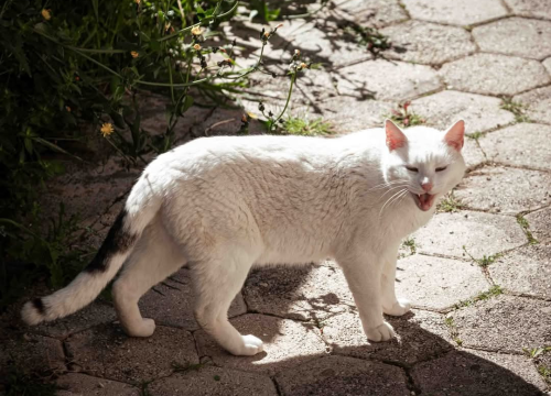Fotografija 34 - Možda Meterize ne izgledaju atraktivno, ali zato imaju pogled od milijun eura